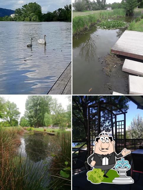 Le Relais Des Mailles