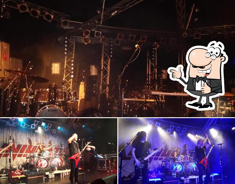 Voici une image de Biebob Concerts