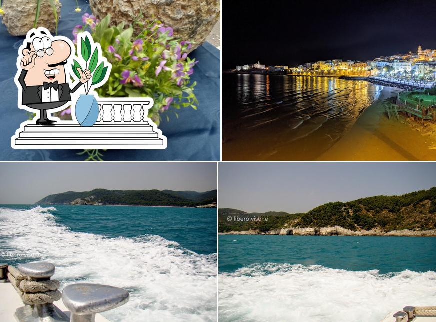 Ginetta Bar Del Porto