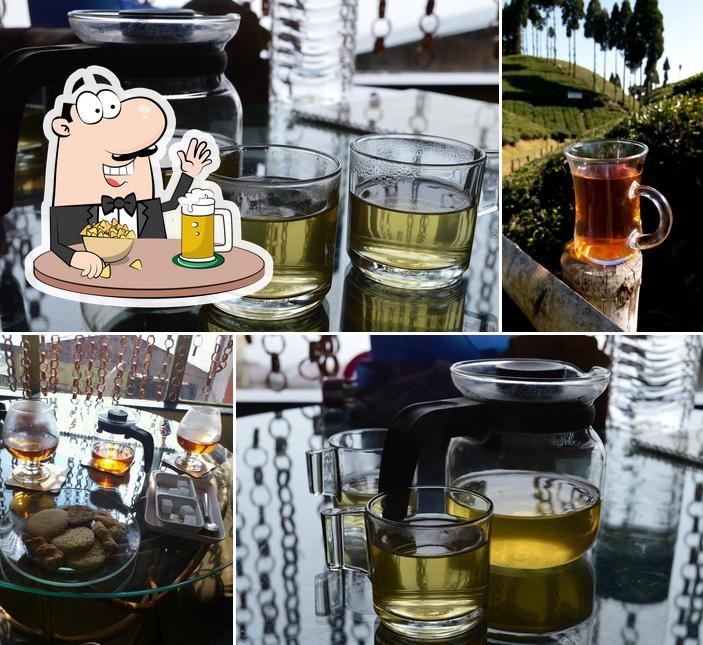 Nathmulls of Darjeeling - Tea Cosy