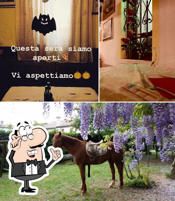 Dai un’occhiata alla immagine che raffigura la interni e esterno di Trattoria Pizzeria Al Cavallino