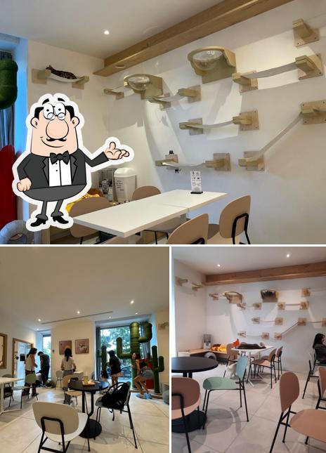 Gli interni di Miaoka Cat Cafè