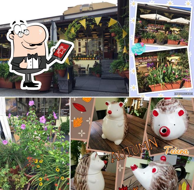 I Segreti del Caffè Il Bar dei Bimbi