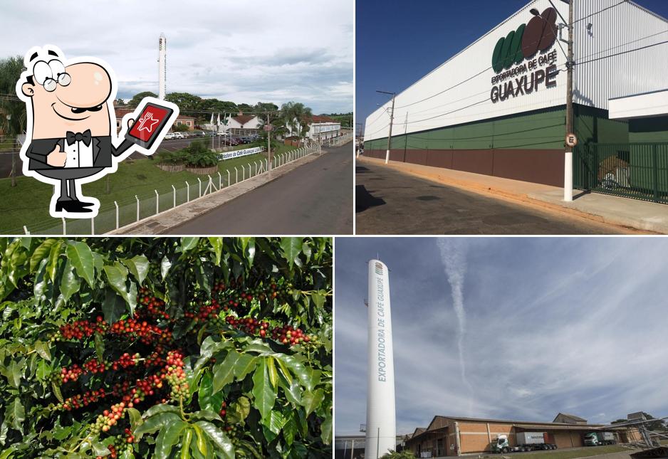 Exportadora de Café Guaxupé Ltda