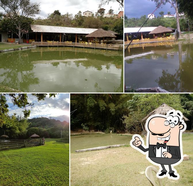 Desfrute da vista do exterior Pesque E Pague Nogueira