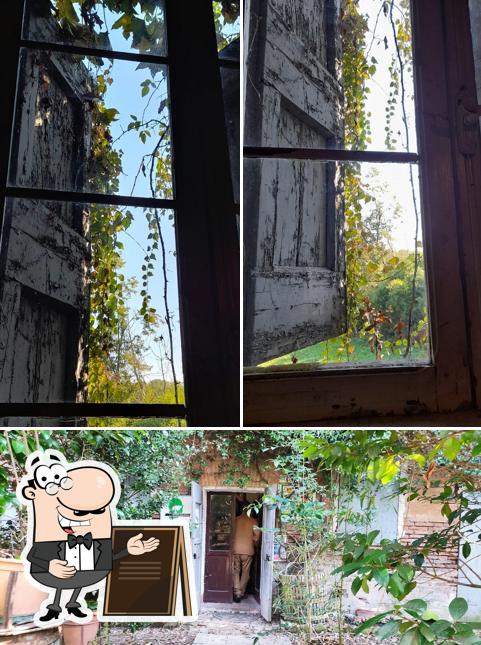 Curiosa tra la parte esterna di Agriturismo Pier Luigi Peri Specialista in Tempo Libero