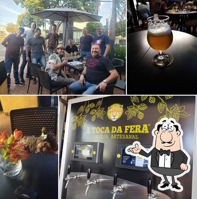 Veja imagens do interior do A TOCA DA FERA