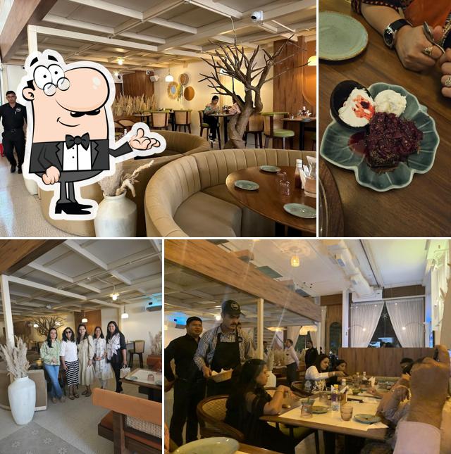 Thyme & Whisk - Best Restaurant In Indore Pure Veg Restaurant Family Restaurant