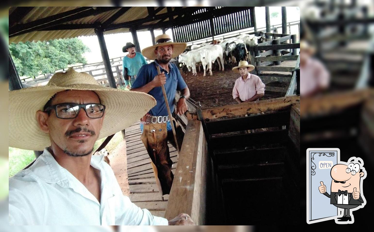 UTI da Cerveja/Conveniência e Tabacaria foto