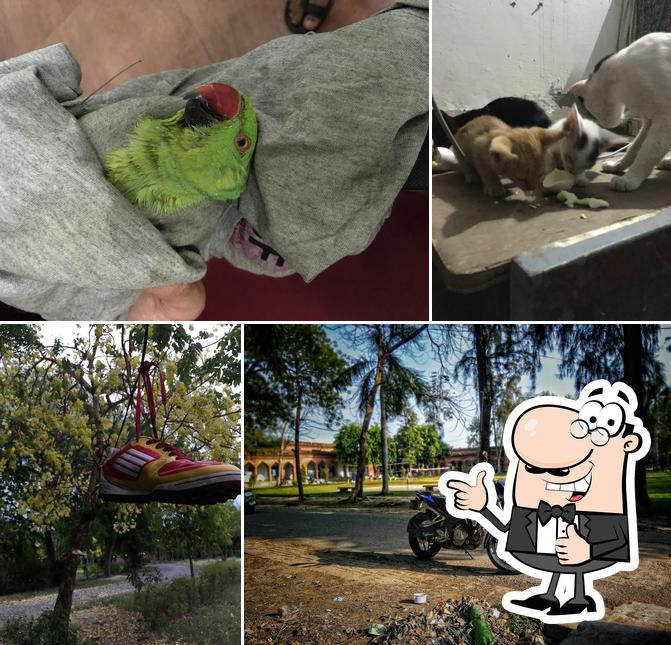 Here's a photo of VM Hall Canteen