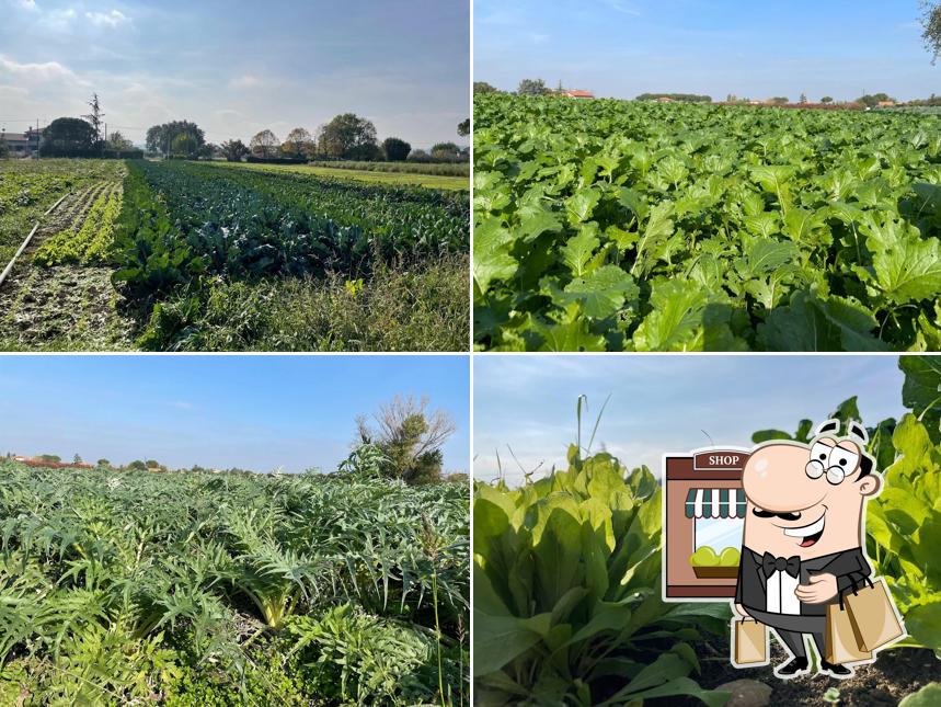 Gli esterni di Terra e Natura - Frutta Verdura e Prodotti Alimentari km0