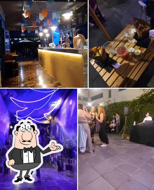 O interior do Sirène - Maringá