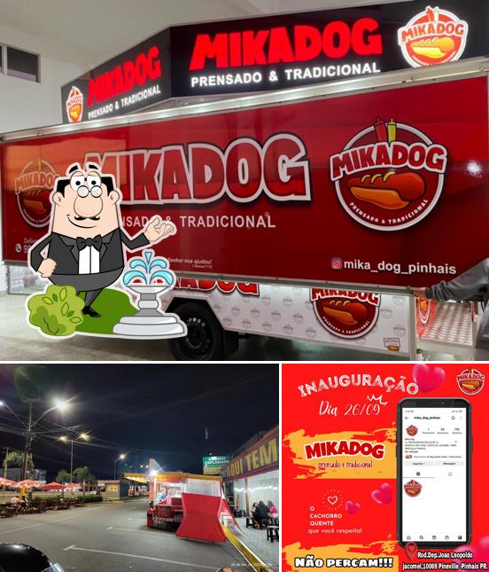 Veja imagens do exterior do Mika dog