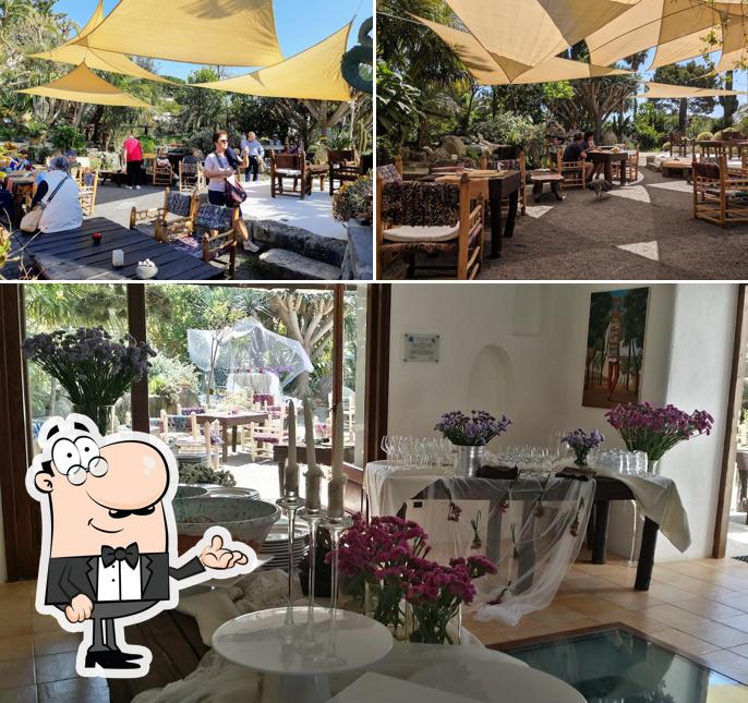 Gli interni di Cactus Lounge Cafe&Restaurant