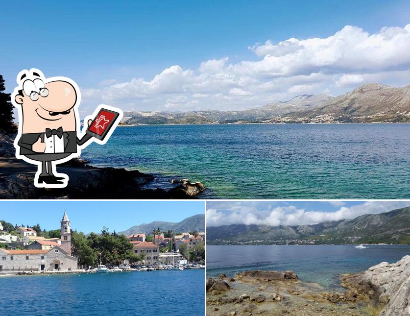 Gli esterni costituiscono una caratteristica importante di Rokotin