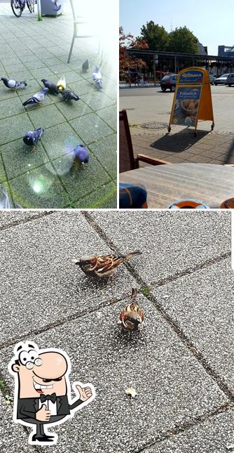 Bakery Heitzmann GmbH & Co. KG