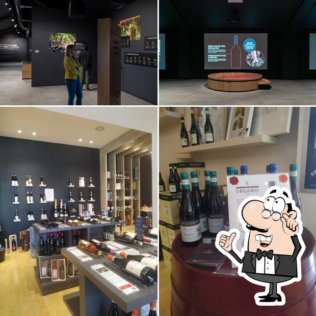 Wine Shop Mondodelvino