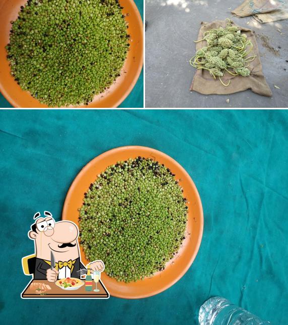 Meals at Panjarpol Gorakshan Sanstha