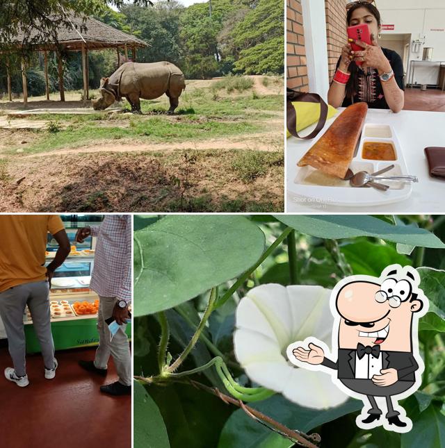 Sandesh The Prince Restaurant