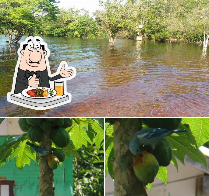 Pizzaria e Esfiharia Luar