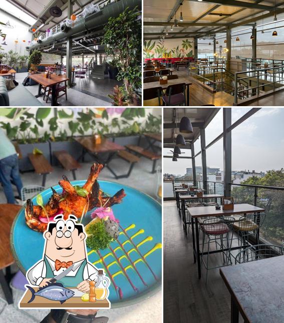 Grilled salmon at Terrace Bar & Kitchen