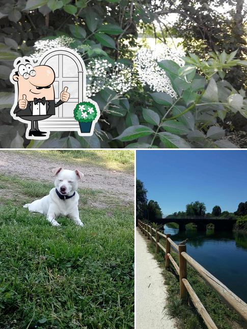 Gli esterni di Myth Pub