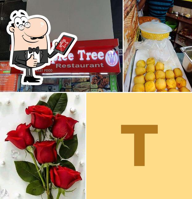 Here's a picture of The Spice Tree