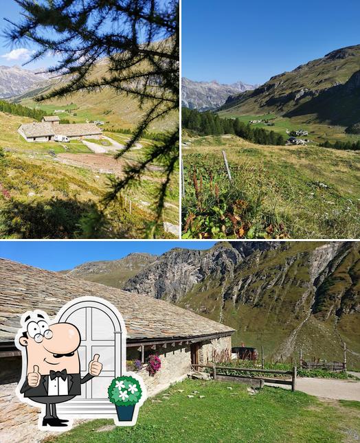 Curiosa tra l'area esterna di Alp Da Segl