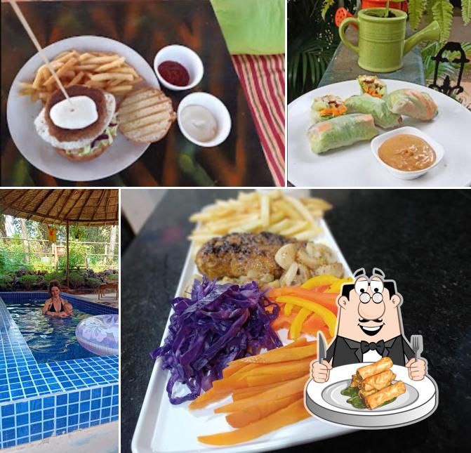 Spring rolls at Red Monkeys Restaurant Bar and Hostel