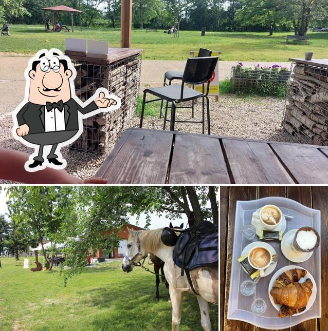 Gli interni di Bicigrill Parco Sangone (bar & ciclofficina)