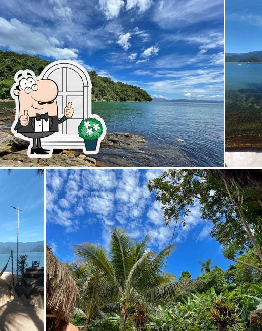 Bar do coqueiro, ilha do cedro, paraty rj