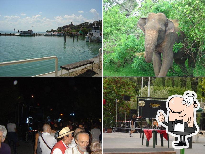 Il Porto - Bar Gelateria