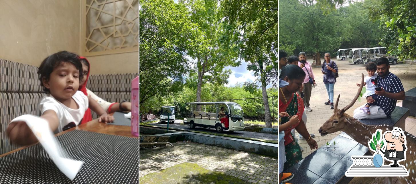 Arignar Anna Zoological Park bus waiting stand for safari