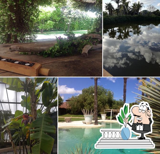 Curiosa tra gli esterni di Il Giardino dei Tempi Orto Botanico