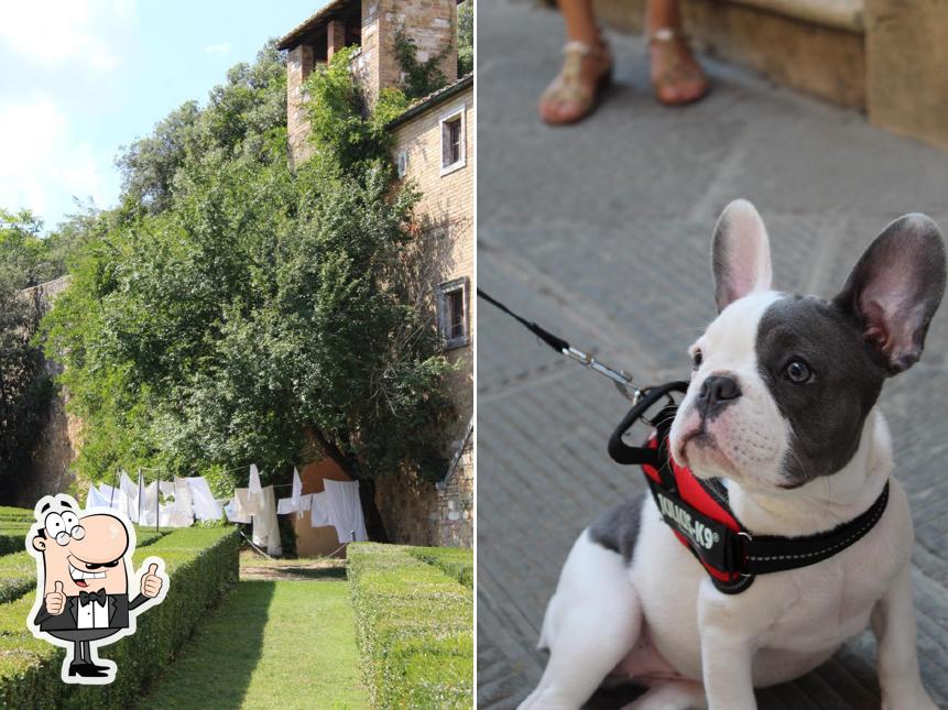 Vedi la foto di Caffe' Bonari Di Pineschi Renzo & C. Sas