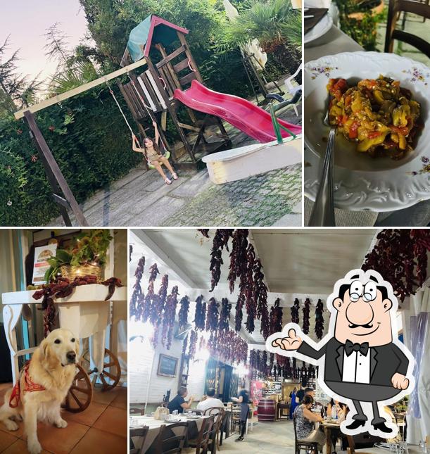 Dai un'occhiata agli interni di Nonnandò