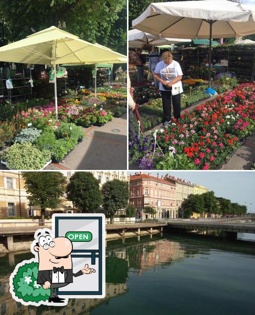 L'area esterna è una caratteristica importante di Štriga