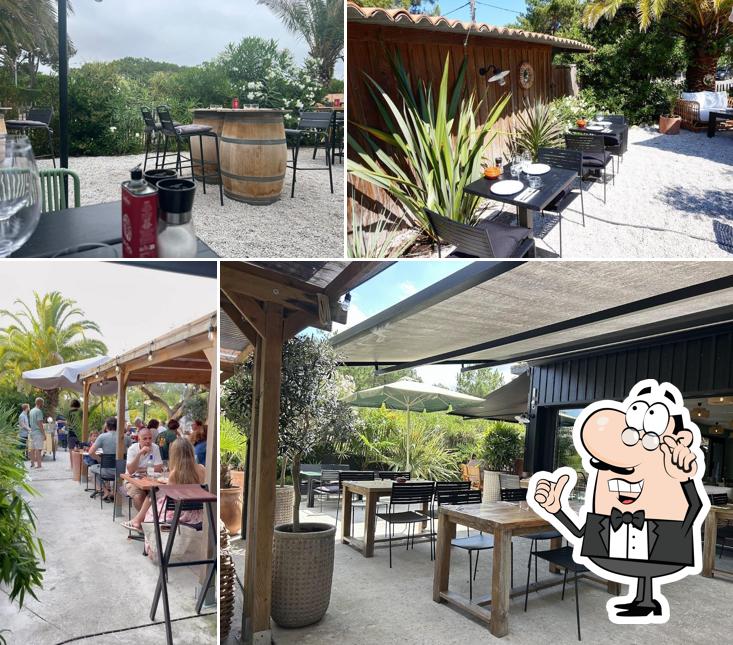 Découvrez l'intérieur de JAVA