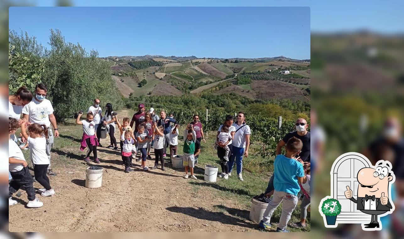 Il Crinale Village Spinetoli