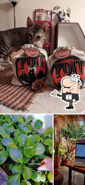 Poit From Hills Cafe & Store