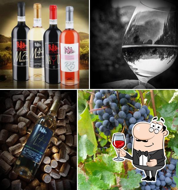 Azienda Vitivinicola Tenuta Maiurino, Produttori di vino Campano, Produttori di vino Primitivo, Aglianico, Greco e Fiano