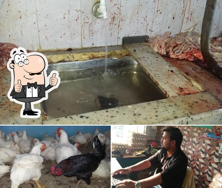 Jogindra Egg & Chicken Centre