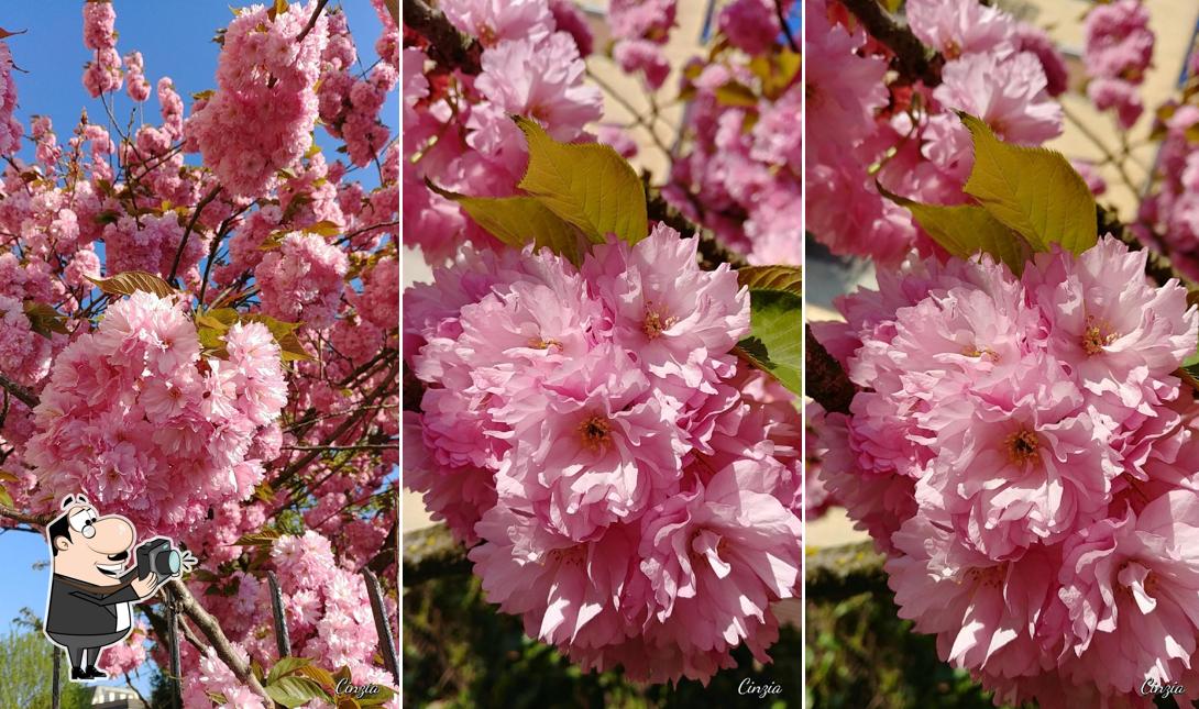 Guarda la foto di Panificio Spazio Varisco