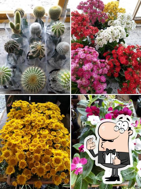 Lanchonete 7 Irmãos