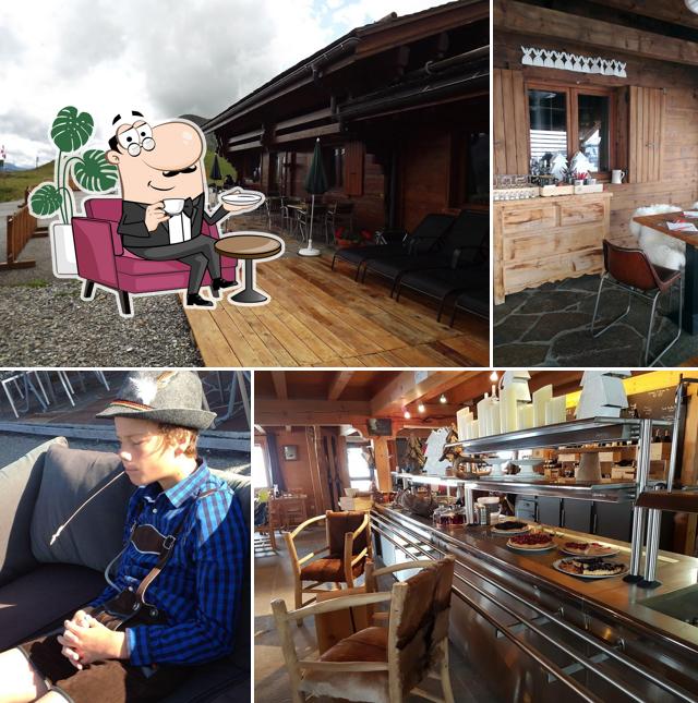 Découvrez l'intérieur de Terres Rouges