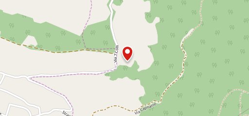 Cinque Abeti sulla mappa