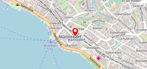 Blumen zum Glück Männedorf (Hauptstandort Uerikon) sulla mappa
