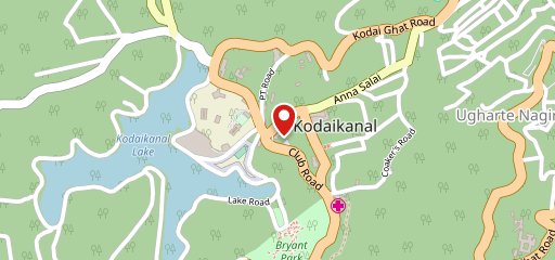 Domino's Pizza Hotel Golden Park, Kodaikanal on map