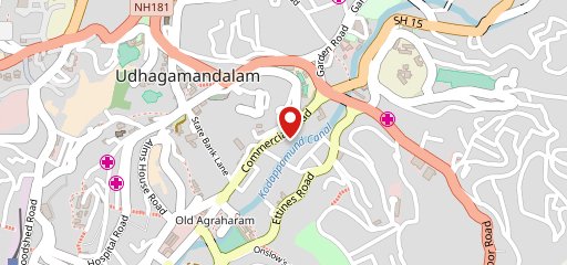 Domino's Pizza Ootacamund Town, Ooty on map