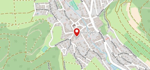 Restaurant Pizzeria Due Maestri GmbH sulla mappa